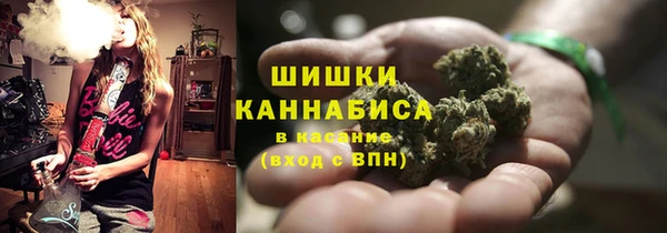трава Вязьма
