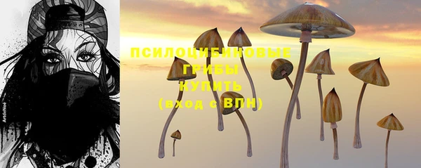 мдма Горняк