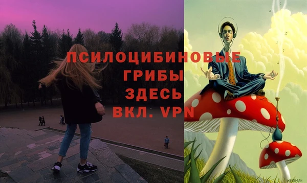 трава Горнозаводск